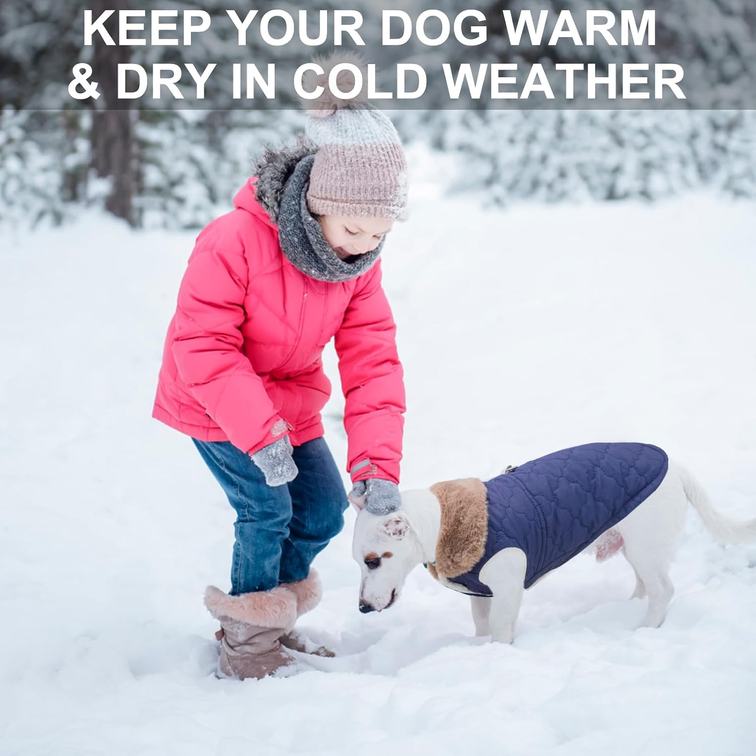 BEAUTYZOO windproof snow jacket side angle on small breed puppy