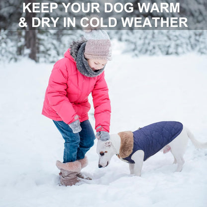 BEAUTYZOO windproof snow jacket side angle on small breed puppy