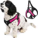 Gooby - Escape Free Easy Fit Harness, Small Dog Step-in Harness for Dogs that Like to Escape Their Harness, Turquoise, Small - Image 10