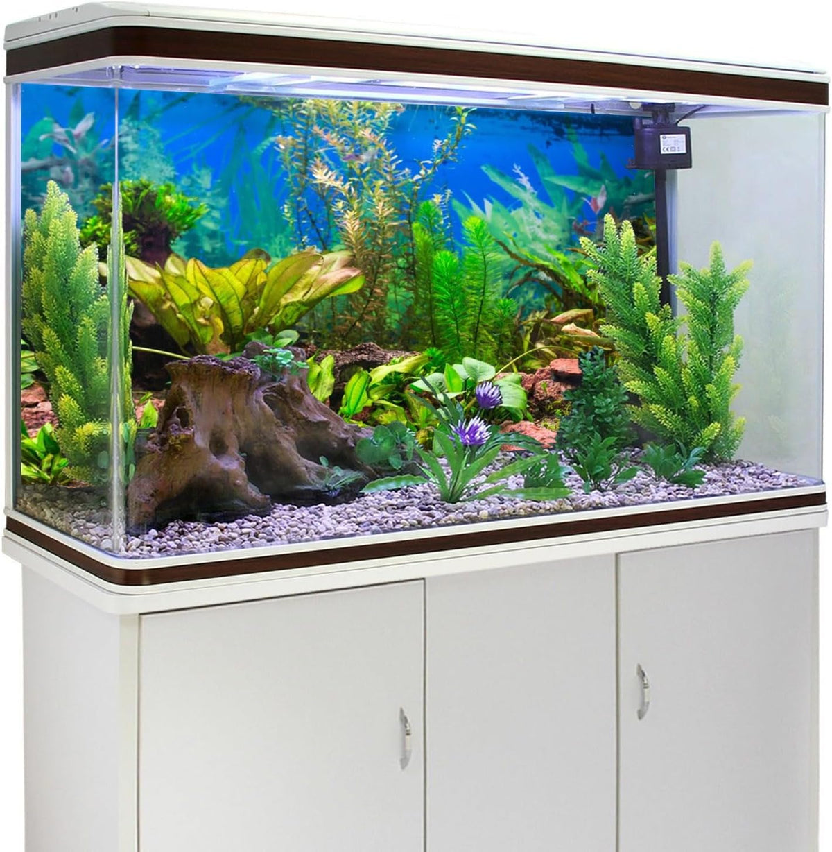 Awert fish tank background displayed on an aquarium glass setup