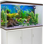Awert fish tank backdrop installed on a glass aquarium setup