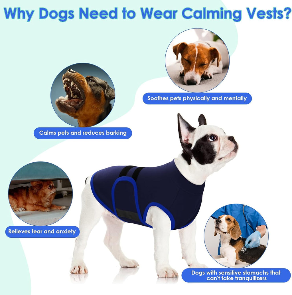 Dog wearing Migohi calming vest for firework anxiety