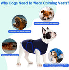 Dog wearing Migohi calming vest for firework anxiety