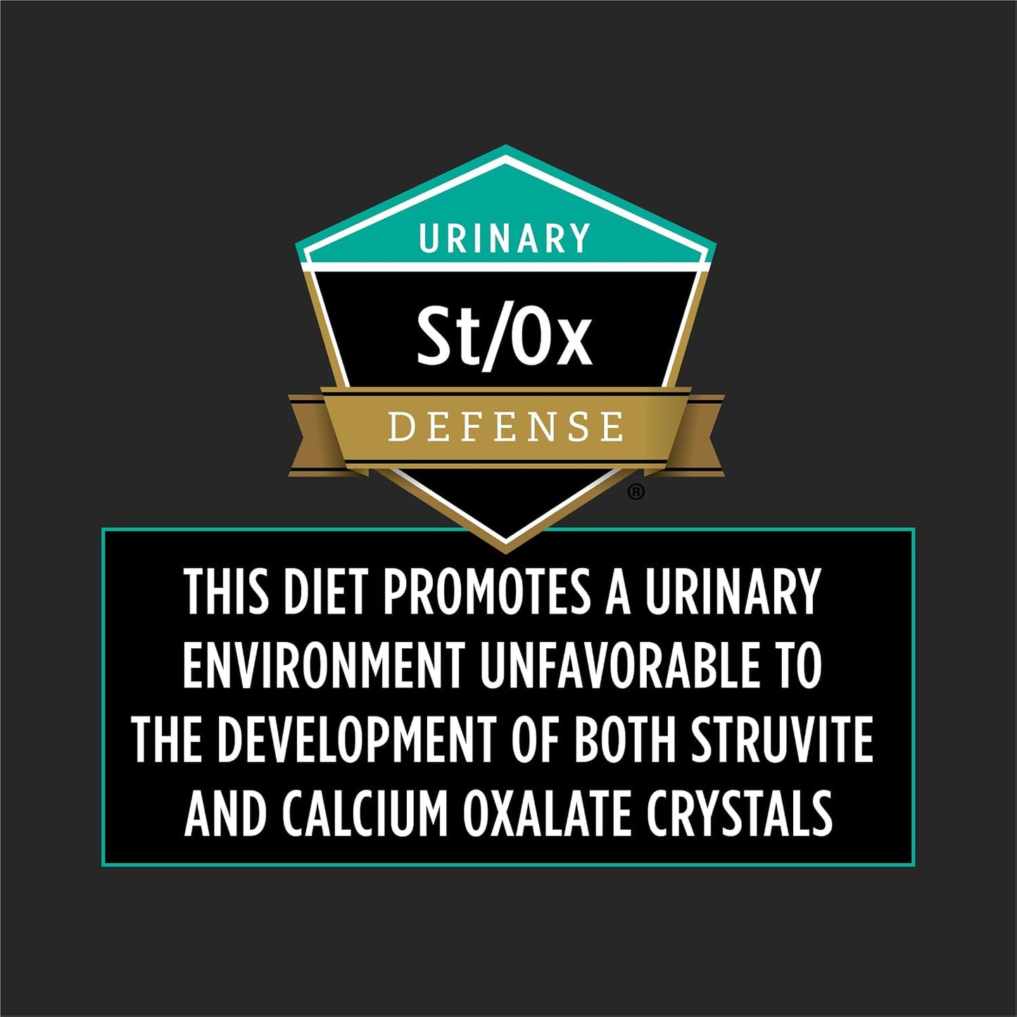 Back label of Purina Vet Diets EN Gastroenteric dry cat food detailing nutrient absorption features