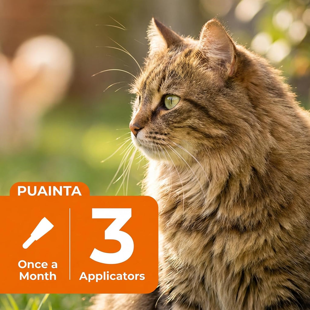 Flea and tick prevention treatment for cats over eight weeks old