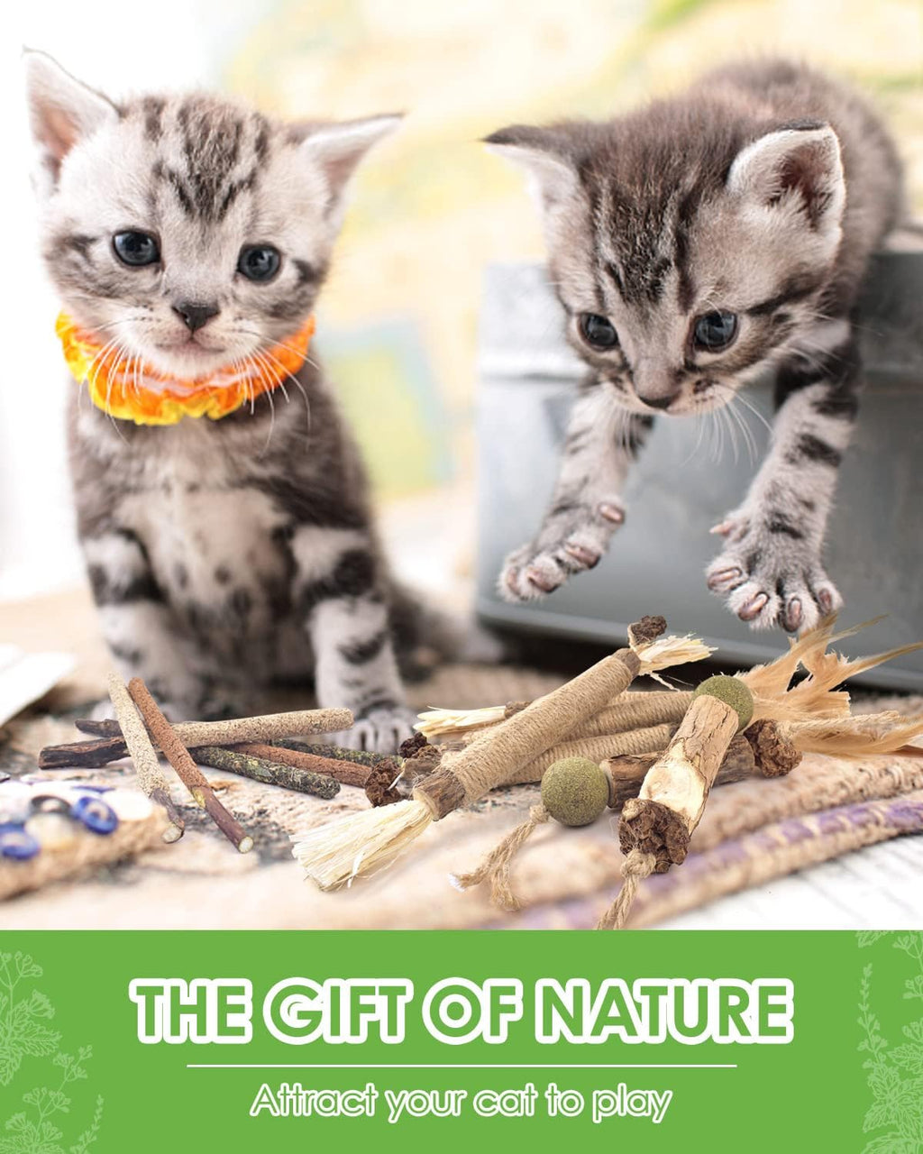 Natural ingredients of Tindtop cat chew sticks displayed