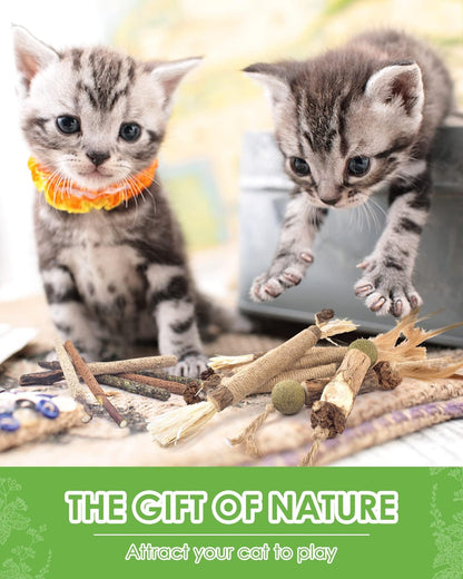 Natural ingredients of Tindtop cat chew sticks displayed