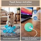 Close up of Qraxond interactive pet toy with paw print design