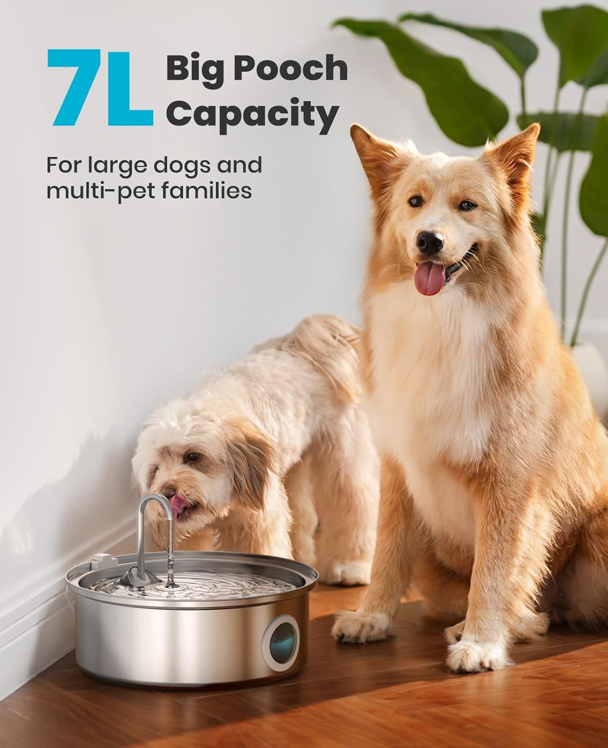 Oneisall pet fountain with stainless steel basin and water level window