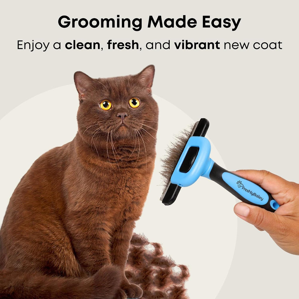 Freshly Bailey shedding brush being used on a short haired dog