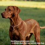 Ximipet sleek silver snake chain dog collar sizing chart and dimensions