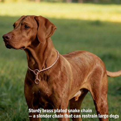 Ximipet sleek silver snake chain dog collar sizing chart and dimensions