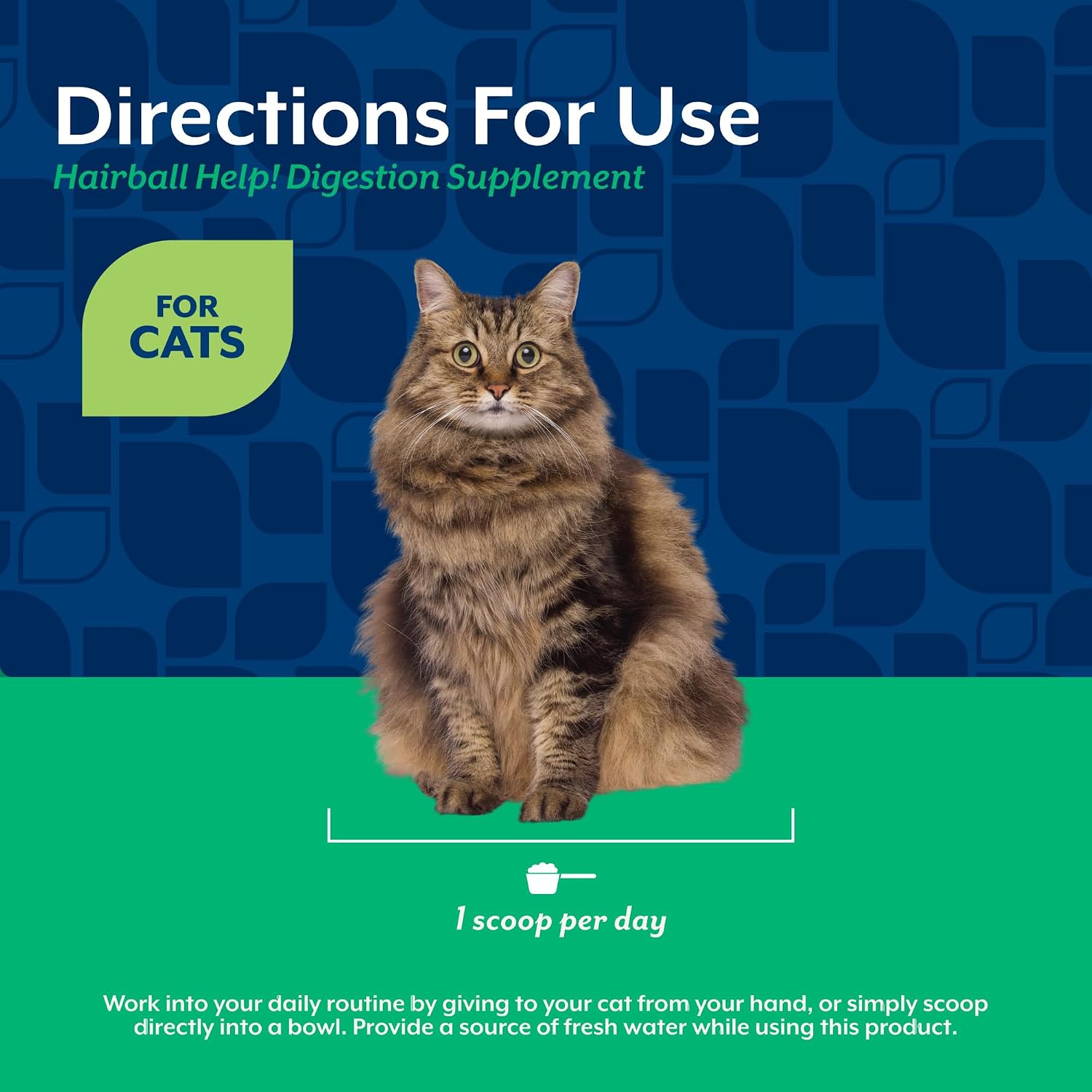 Close-up of the USA imported NaturVet digestive support scoopable supplement for cats.