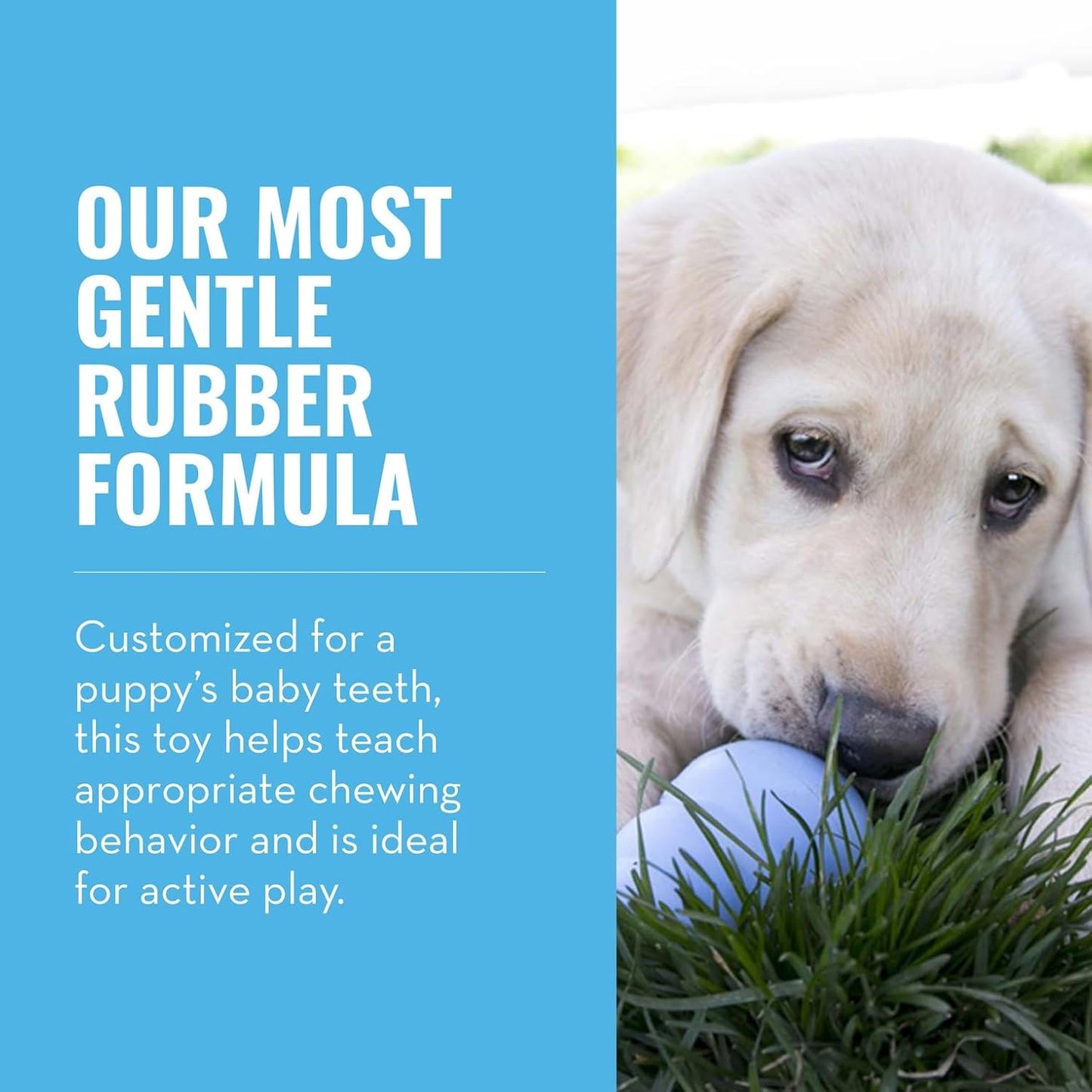 KONG Puppy - Natural Teething Rubber Chew Toy for Dogs - Stuffable Dog Toy for Extended Playtime - Chew & Fetch Toy for Puppies - for Small Puppies - Blue - Image 3