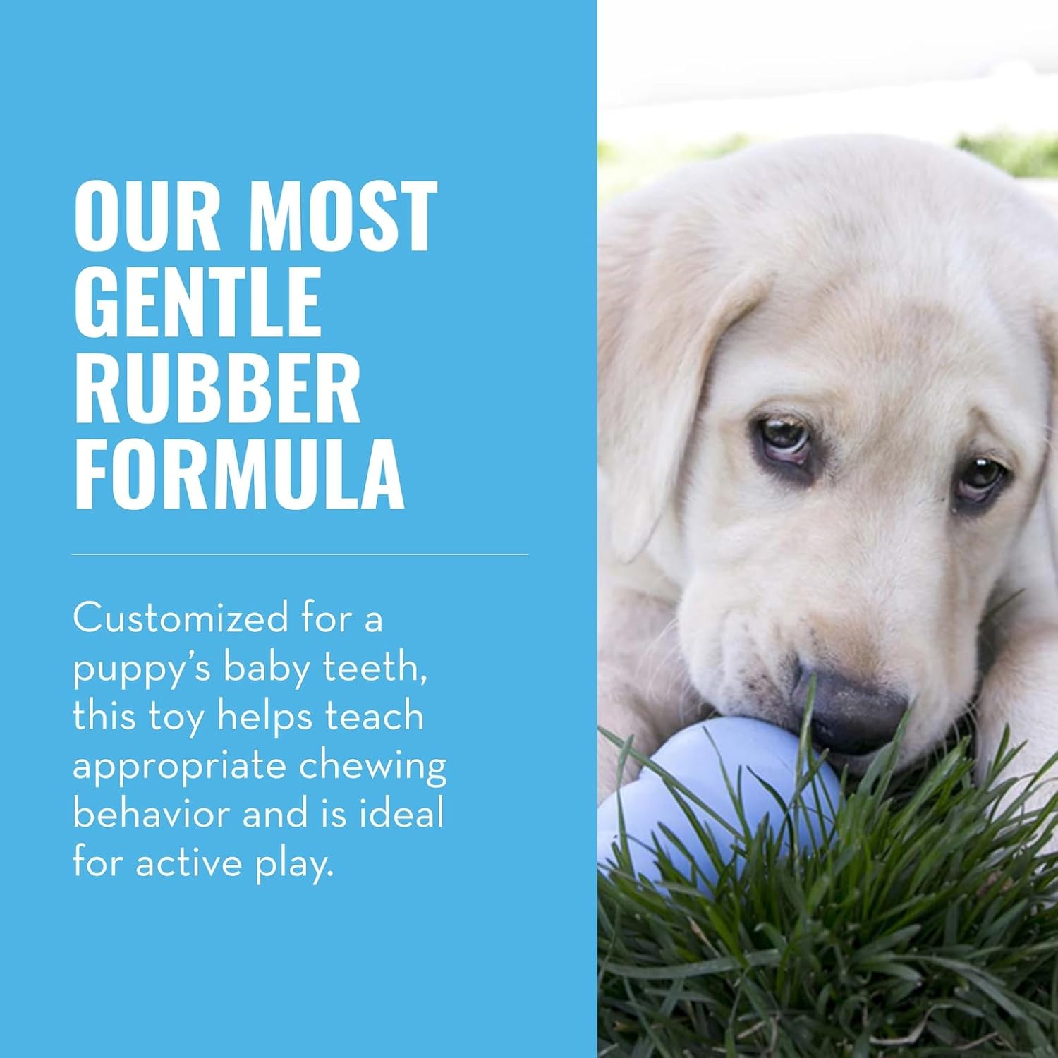 KONG Puppy - Natural Teething Rubber Chew Toy for Dogs - Stuffable Dog Toy for Extended Playtime - Chew & Fetch Toy for Puppies - for Small Puppies - Blue - Image 3