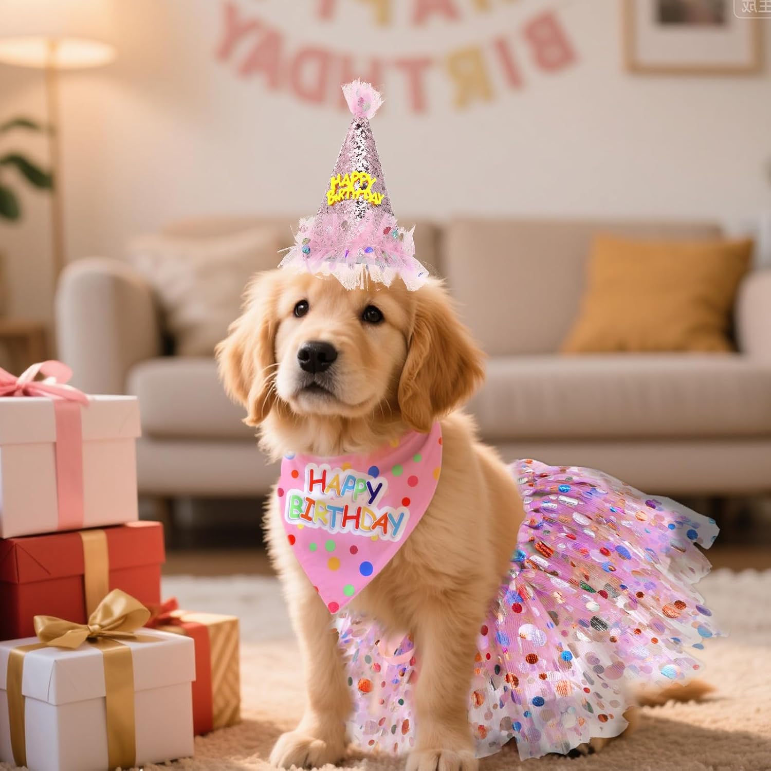 Small puppy wearing a pink princess dog birthday outfit set