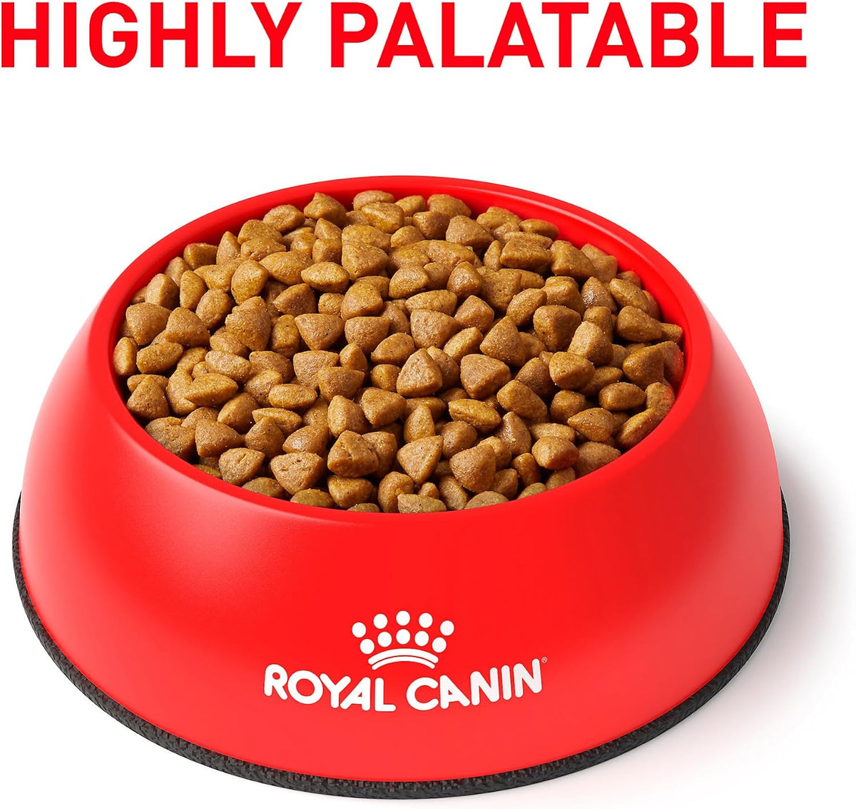 Royal Canin 6.6 pound bag showing veterinary exclusive renal diet label