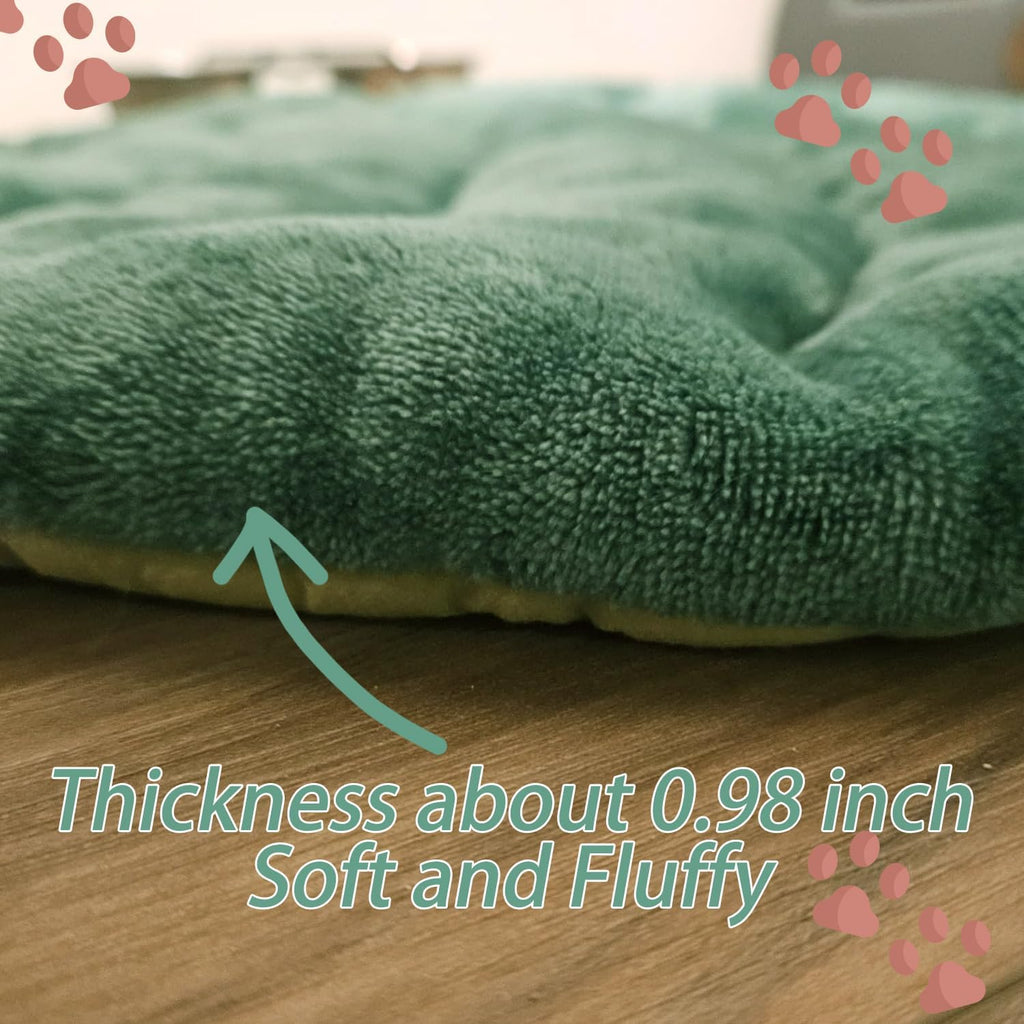 Small indoor kitten resting comfortably on the self warming cat pad