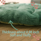 Small indoor kitten resting comfortably on the self warming cat pad