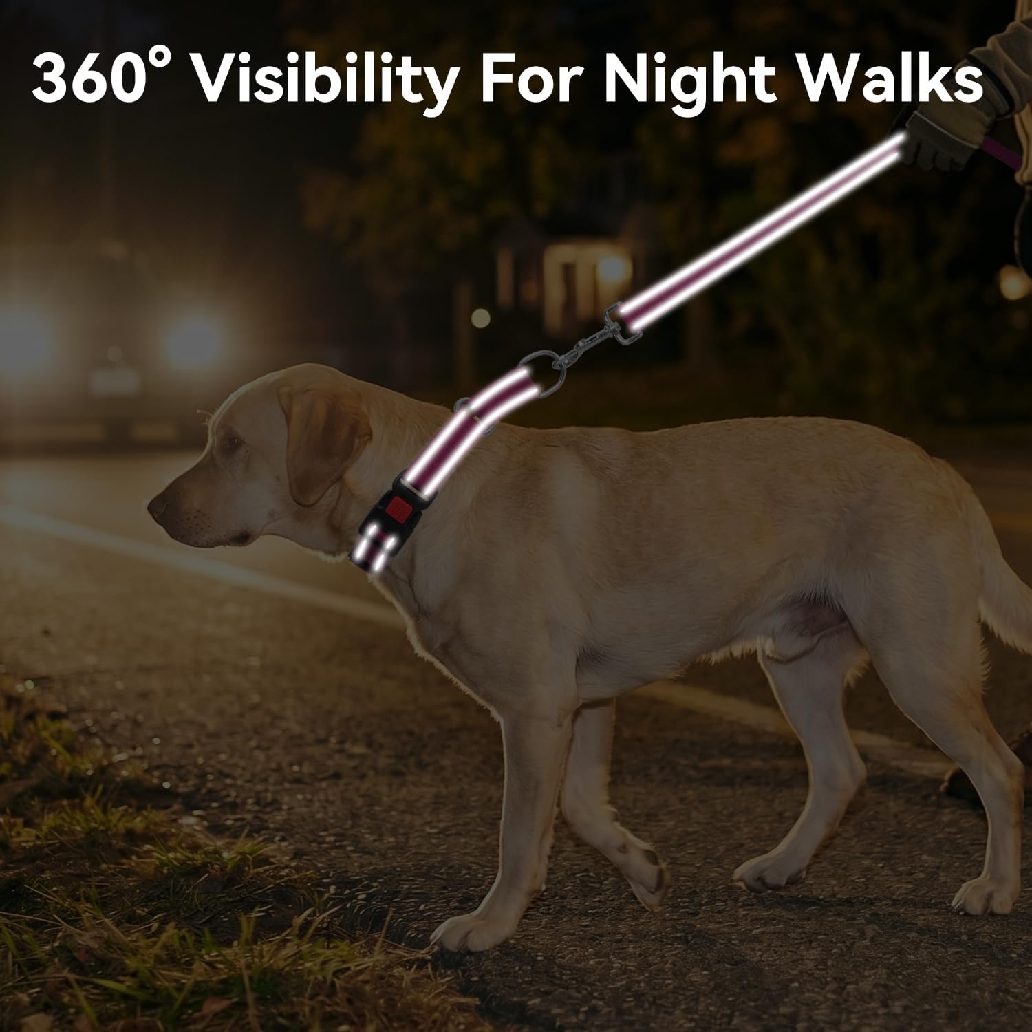 Joytale hotpink medium training collar highlighting the quick release buckle lock feature