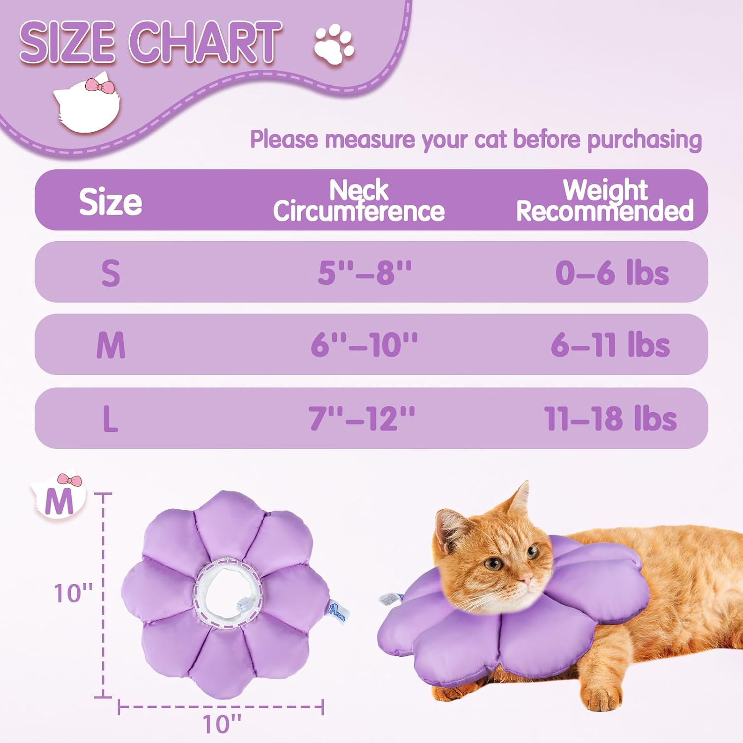 Kitten wearing soft flower shape collar eating from a bowl