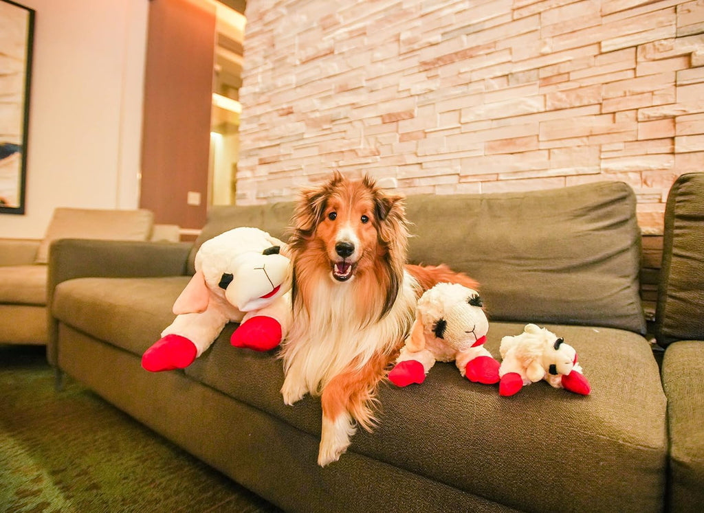 Large Lambchop plush dog toy for bigger dogs