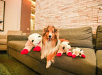 Large Lambchop plush dog toy for bigger dogs