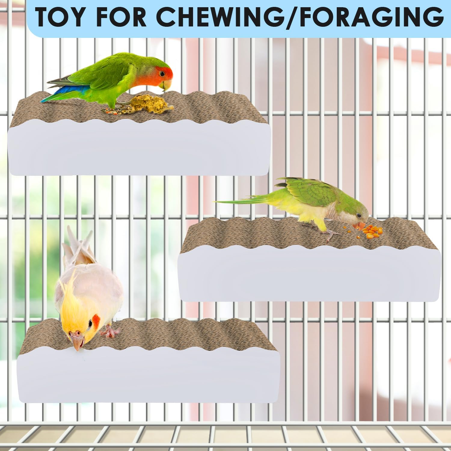 Budgie resting on an authentic imported KATUMO bird perch
