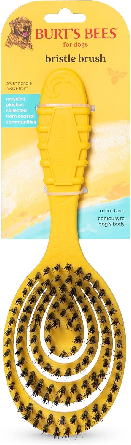 Burt's Bees for Pets Dual Sided Flea Comb with Handle from Recycled Coastal Plastics, Fine and Wide Stainless Steel Pins Remove Fleas, Flea Eggs, Tangles, and Dander, 6 Inch - Image 15