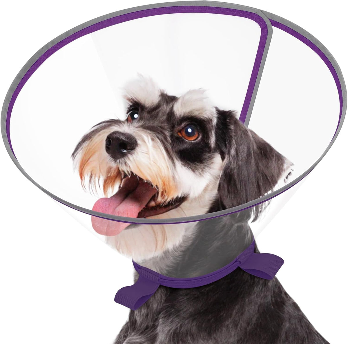 Clear Dog Cone for Small Dogs After Surgery, Adjustable E-Collar to Stop Licking with Padded Neck for Chihuahua,etc, Soft Recovery Collar with Reflective Trim for Night Visibility, Black XXS - Image 15