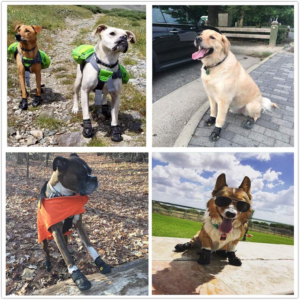 Medium to large dog wearing black PK.ZTopia shoes