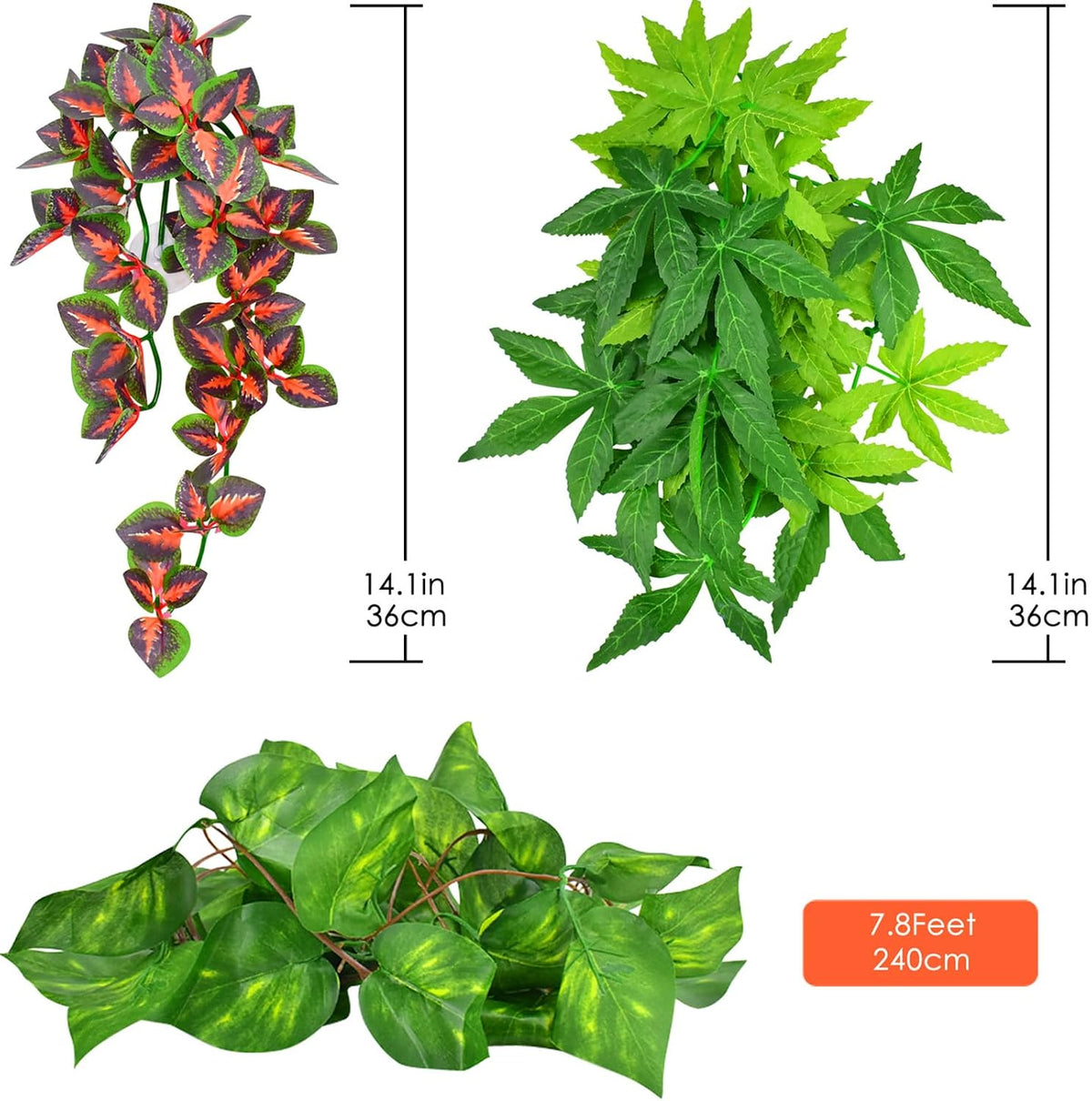 Katumo terrarium hanging plants set arranged together