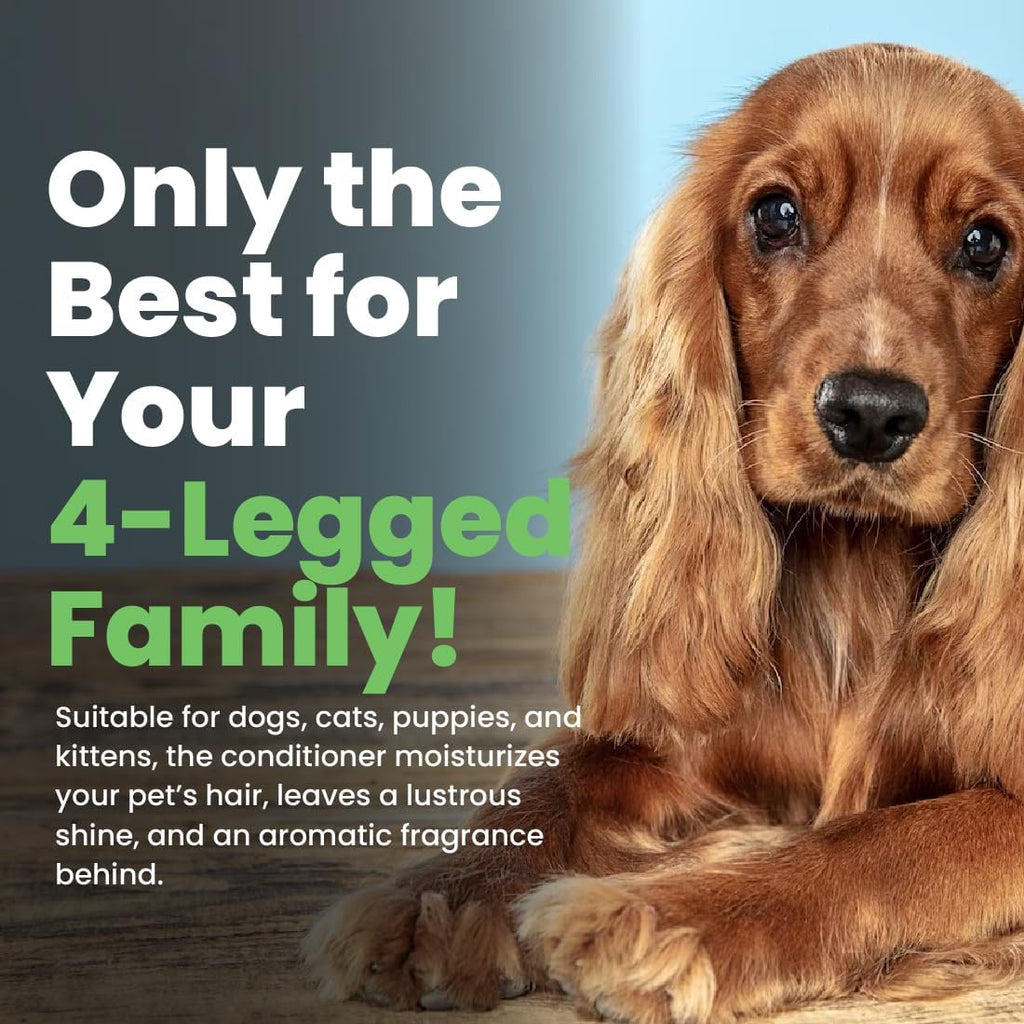 Best Shot cat and dog conditioner application demo