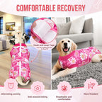 Nasjac breathable fabric puppy bodysuit alternative to plastic e-collar.
