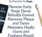 Nano-hydroxyapatite dog toothpaste for enamel repair