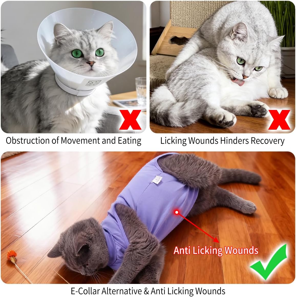 Cat wearing recovery suit demonstrating movement freedom