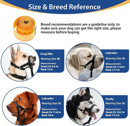 Heavy pulling control halter detailing the padded nose band