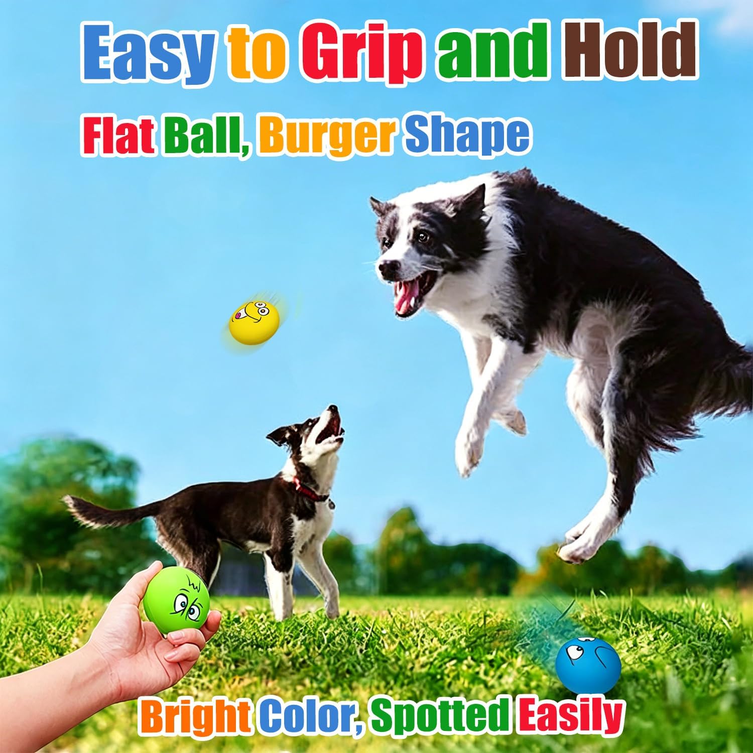 HOLYSTEED flat squeaky balls packaging view showing safe non stuffing design for small dogs.
