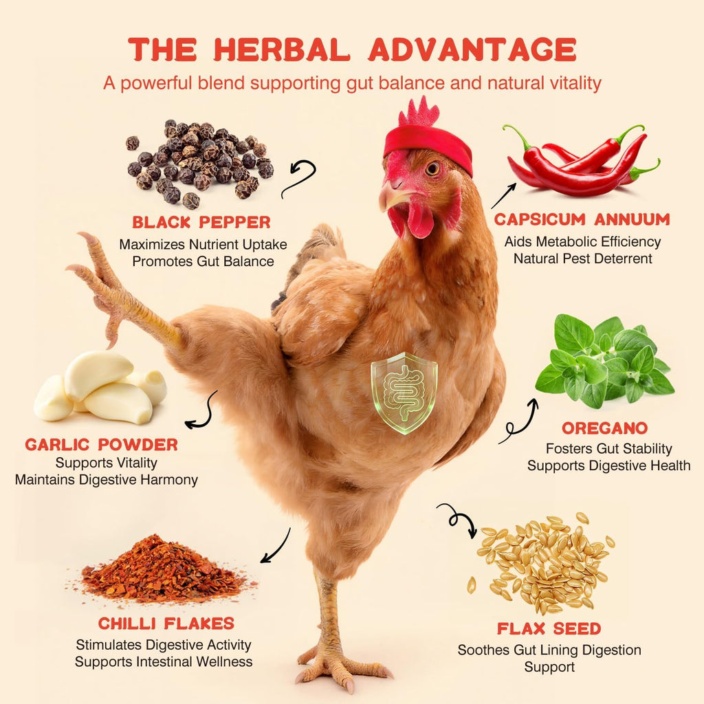 Close up of herbal chili mix texture and poultry supplement granules