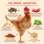 Close up of herbal chili mix texture and poultry supplement granules