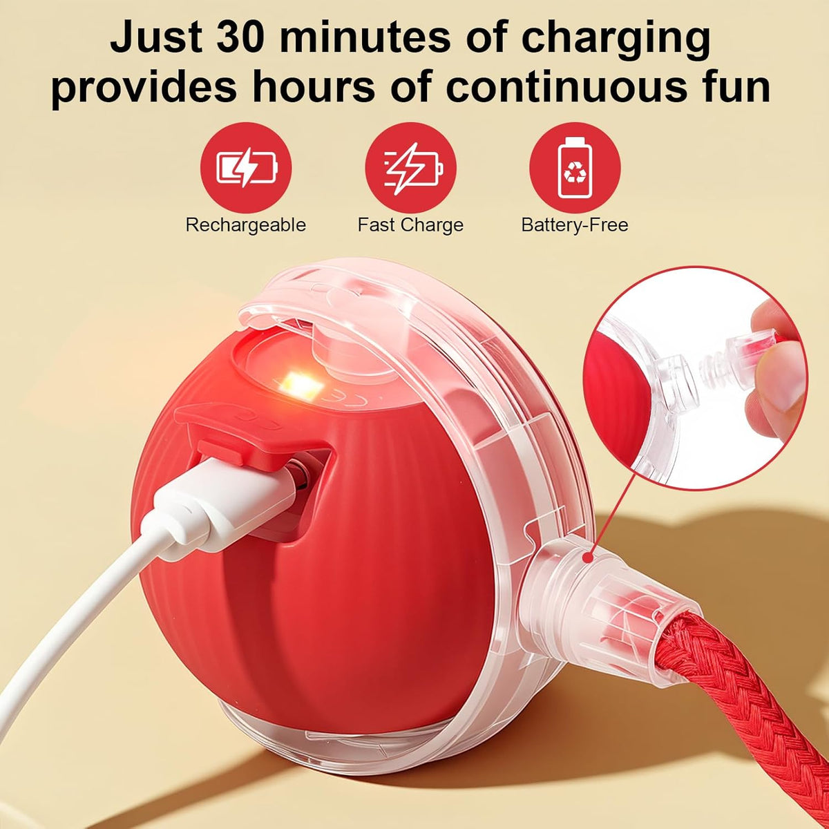 Close up of SilveWillo rechargeable pet ball with rope tail