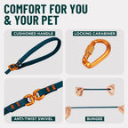 Hands-free usage of OutdoorBengal 14ft pet leash