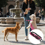 Rose red variant of the Molain double dog leash splitter with heavy duty metal hardware.