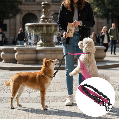 Rose red variant of the Molain double dog leash splitter with heavy duty metal hardware.