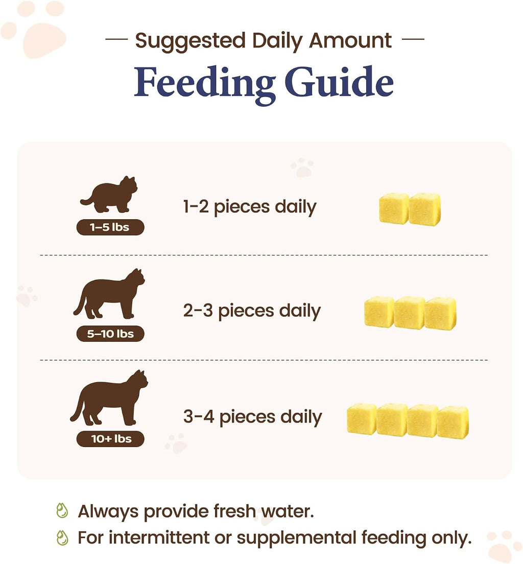 Rehydrated egg yolk and salmon oil pet treats mixed with warm water.