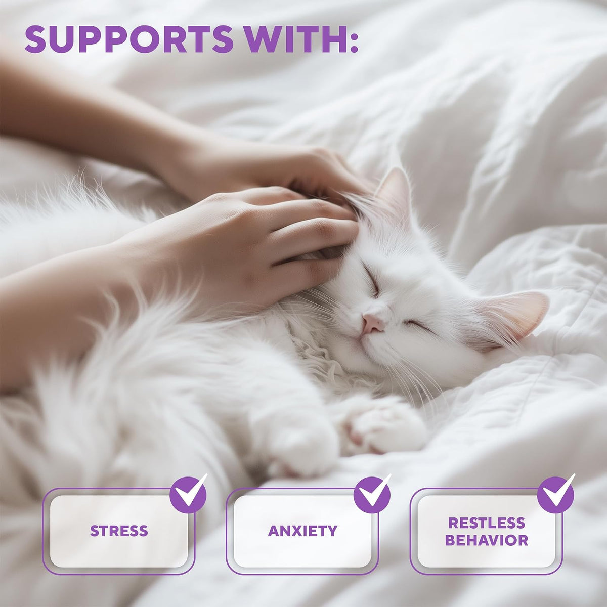 Imported feline stress reduction mist showing fifty milliliters packaging details