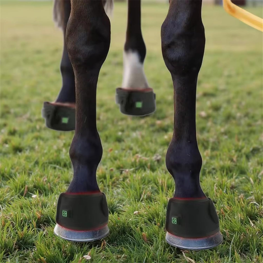 FSDLJSP wearable pet therapy wrap being operated wirelessly next to a domestic horse.