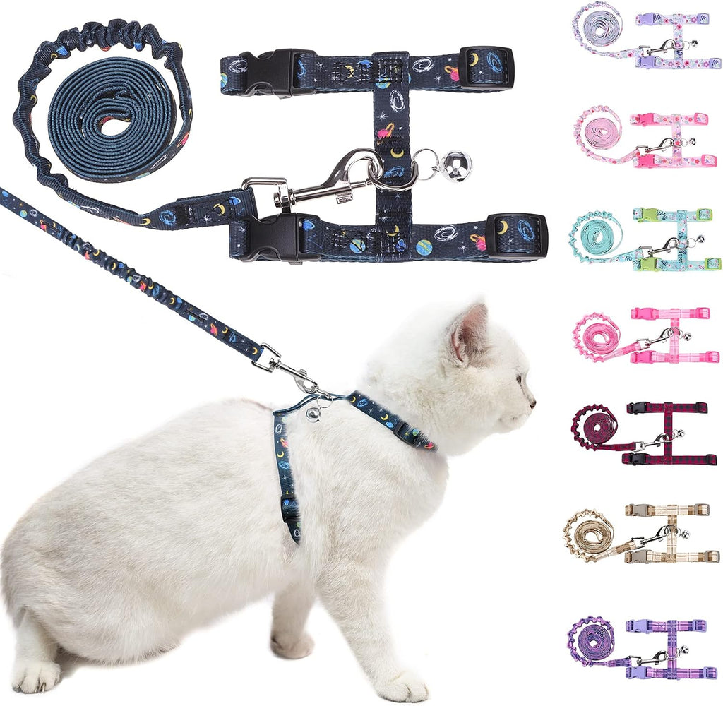 BEAUTYZOO cat harness and leash set front view on small kitten