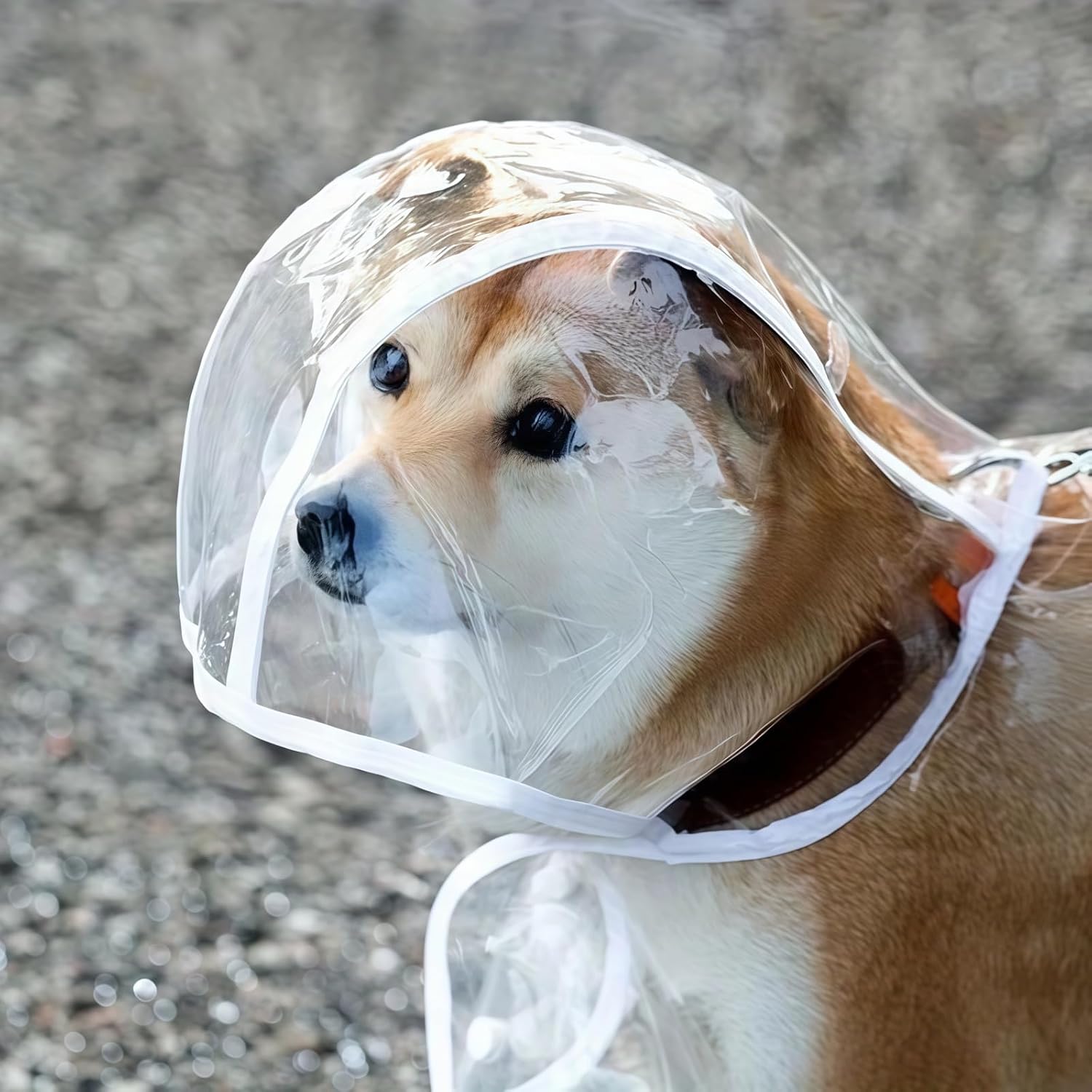 Quick drying dog rain jacket with integrated leash hole closeup view