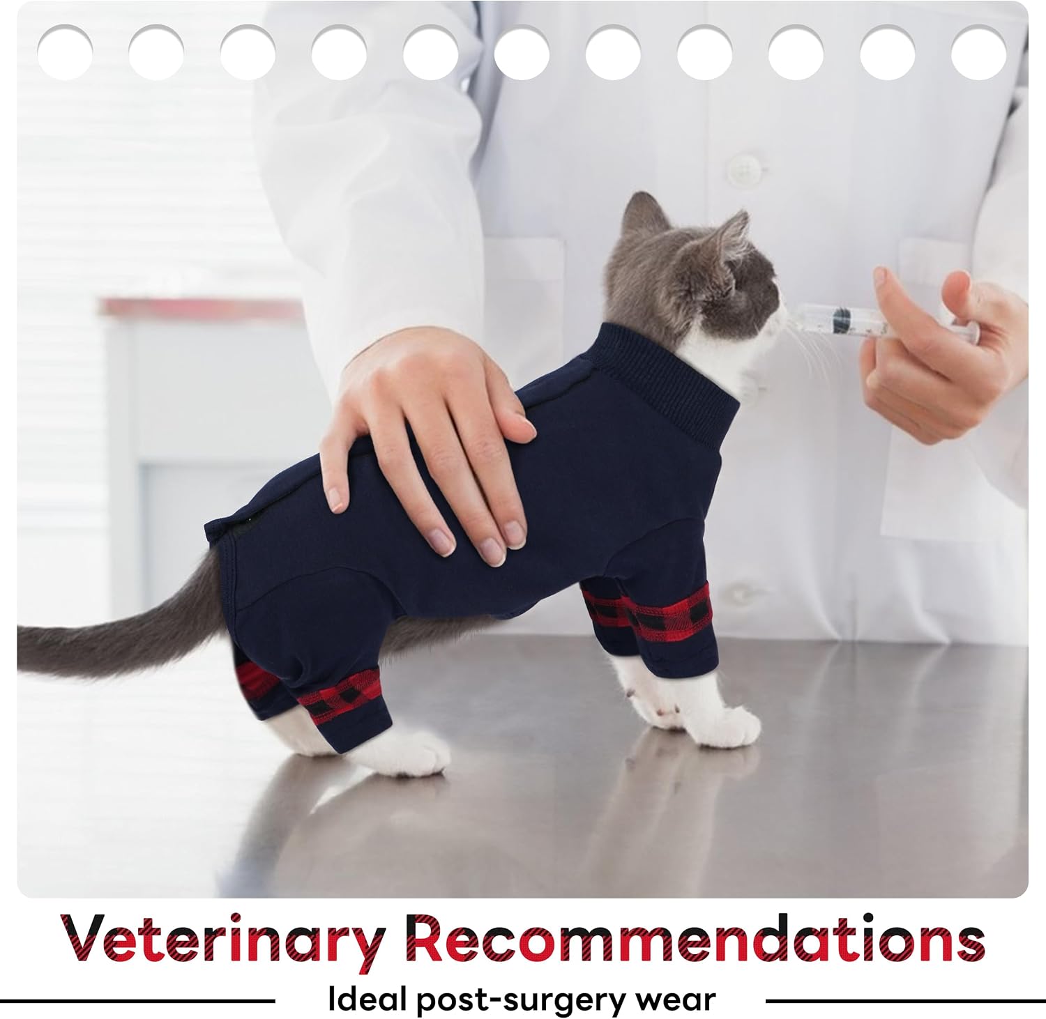 Pumyporeity breathable cat recovery apparel sizing reference